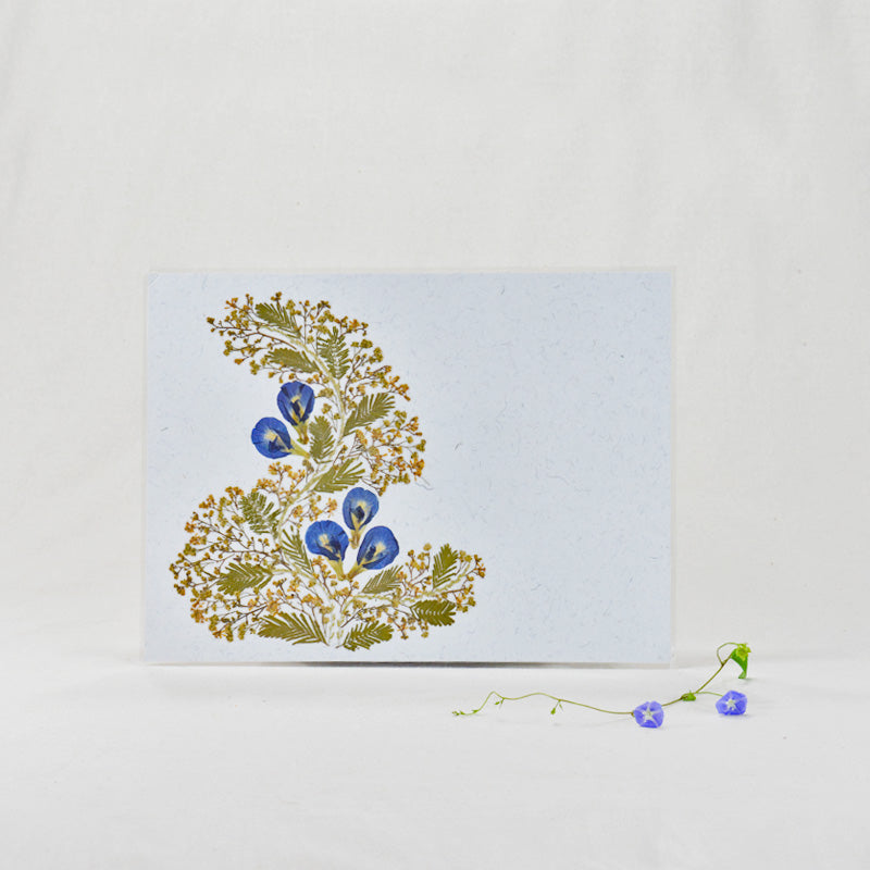 Classic Blue Tablemats- DH01F01XX6