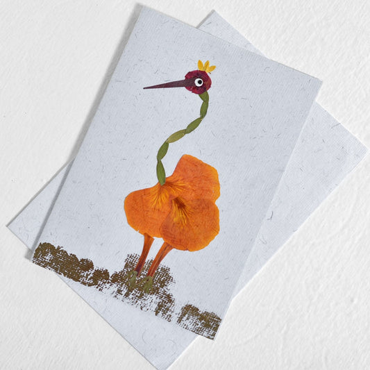 Ostrich Card