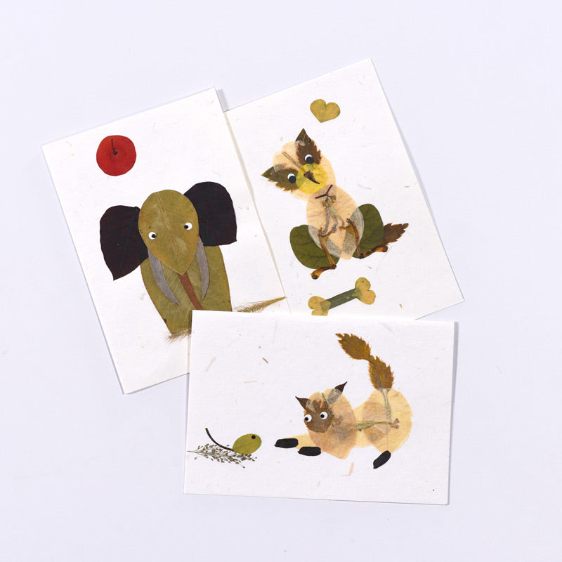 Animal Card Series  (Set of 6)